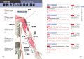 童小芳《超图解经络．穴道：透過經穴建构人体健康地图》台灣東販