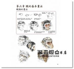 王向陽《國畫技法入門300例：吉祥生肖》北星