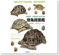 陸龜超圖鑑：物種解說、分類飼育方法完全收錄17[海老沼剛]東販