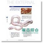 玉米蛇超圖鑑：簡單了解玉米蛇的飼養要訣 [東販]