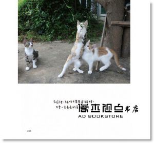 李龍漢《人類太忙，貓咪的事自己來》大田