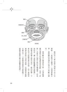 吉田篤司《頭薦骨按摩自療法：舒緩腦部壓力、改善五十肩、消除酸痛，提升身心狀態的新興能量療法》世茂
