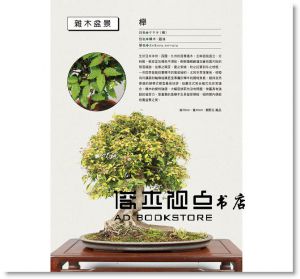 關野正/指導, 松井孝/監修《小品盆栽造景樂 》[三悅]