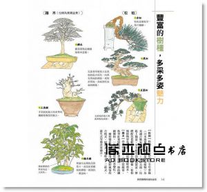 群境介《打造我的迷你盆栽樂園：13~15cm小巧尺寸，也能開花結果，展現各種迷人樣貌！》瑞昇