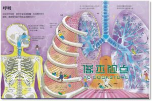 凱蒂．戴尼斯《小翻頁大發現: 我的身體奧祕大發現》水滴