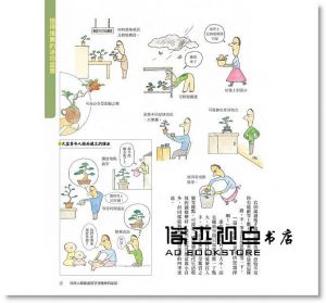 群境介《打造我的迷你盆栽樂園：13~15cm小巧尺寸，也能開花結果，展現各種迷人樣貌！》瑞昇