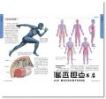 約瑟‧馬爾默‧艾斯帕夏, 埃爾圖‧亞克梅特‧卡拉斯科《肌筋膜徒手按摩解剖書：5大部位x 10種手法x 7道程序，紓解運動疲勞＆提升競技表現的終極按摩法》采實文化