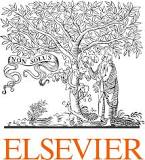 ELSEVIER爱思唯尔