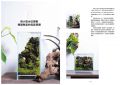 小森智之《室內綠設計生態缸：從栽培、造景到飼養動物一本搞定》東販
