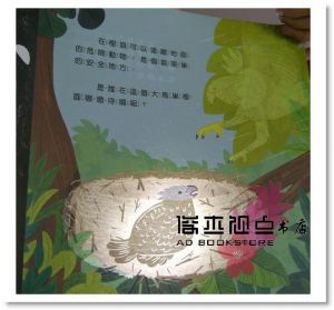 光影魔術熱帶雨林的祕密 [維京][凱倫．布朗]