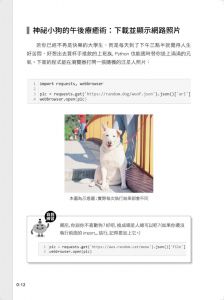施威銘《跨領域學 Python：資料科學基礎養成》旗標