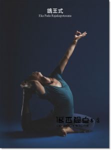 现货 宇色《靈修訓體與瑜伽的精采對話：靈動、脈輪、炁感與亢達里尼背後隱藏的共同祕密》柿子文化 
