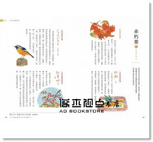 長澤陽子《日本色彩物語：反映自然四季、歲時景色與時代風情的大和絕美傳統色160選》麥浩斯