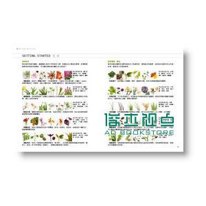 植栽時間：100種室內園藝裝飾diy [朱雀]