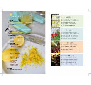 Brian Lin《BrianCuisine不萊嗯的烘焙廚房：40道精選人氣食譜配方，12個法式甜點技巧，近2萬字烘焙知識，50部影音教學示範，自學烘焙的隨身導師！》 朱雀