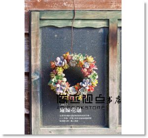 田邊正則《肉肉世界 超療癒多肉植物》[康鑑文化]