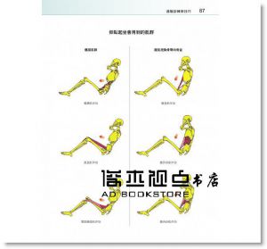 腹肌訓練解剖聖經：解析腹部肌群感受肌肉徵召，增進運動表現練出健美腰身[旗標]