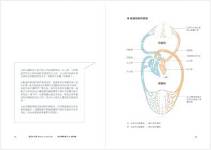 曹乃文《重返生死線：葉克膜現場的30堂修練》天下生活