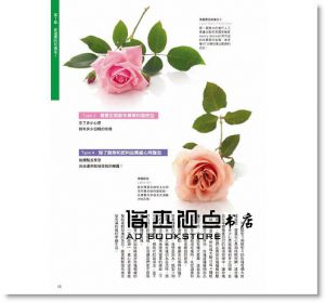 木村卓功《世界級玫瑰育種家栽培書：愛上玫瑰》噴泉