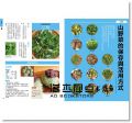 日本農家祕傳 76種蔬菜採收、保存、料理提案 [東販]