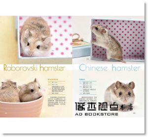 倉鼠完全飼養手冊：快來認識你的小夥伴！[東販][大野瑞絵]