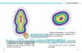 彩光量子觸療：12色彩冥想，療效擴大再升級！ [橡實]