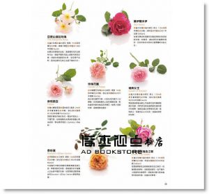木村卓功《世界級玫瑰育種家栽培書：愛上玫瑰》噴泉