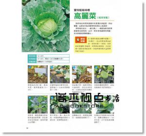 吉川泰正 《寶特瓶種植水耕蔬菜》 [康鑑]