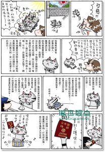 第一次出国就去意大利: 澎湃野吉旅行趣 1