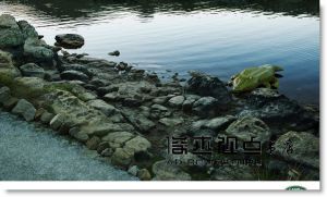 Lürzer's Archive 广告档案（英文版）NO.5/2017