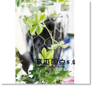 室內園藝綠化樂:五大類型室內植栽的管理小百科 [三悅]