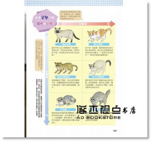 加藤由子《與我的貓咪過得更幸福：解決養貓生活中100個常見煩惱》晨星