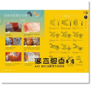 錦鯉、金魚鑑賞&飼養圖鑑：沒有庭院、水池也OK！近距離感受象徵吉祥幸福的傳統觀賞魚之美 東販]