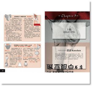 原島廣至《圖解：骨骼單字大全》楓書坊
