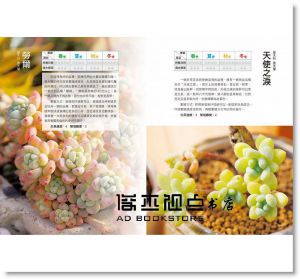和二木一起玩多肉(2冊套組) [康鑑][二木]