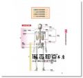 水嶋章陽《人體全解剖圖鑑：專業醫學背景下的基礎剖析，完整說明！》三悅文化