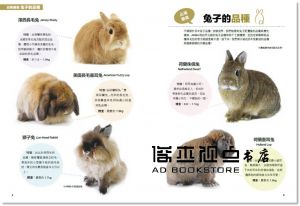 町田修《兔子解憂事典Q&A Select 280》麥浩斯