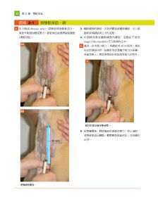 Susan M. Taylor《小動物臨床技術，第三版》愛思唯爾