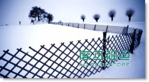 大视觉: 国家地理摄影美学经典 Simply Beautiful Photographs