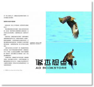 陳世一《鷹飛基隆：台灣最美的四季賞鷹秘境》 [新自然]