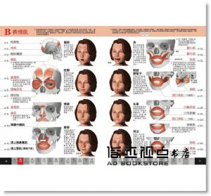 原島廣至《圖解：肌肉單字大全》楓書坊