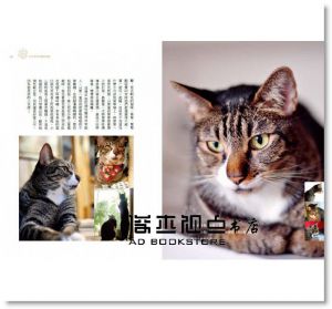 胡涓涓《溫柔陪在你身旁：Carol與14隻貓咪們的生活。日常。》日日學