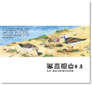 黃玉玲《歡迎光臨溼地鳥餐廳》小光點