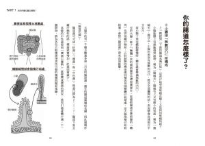 日本美腸協會《10秒「內臟拉提」擊退凸小腹！》楓葉社文化  