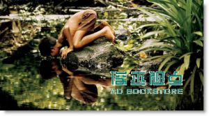 大视觉: 国家地理摄影美学经典 Simply Beautiful Photographs