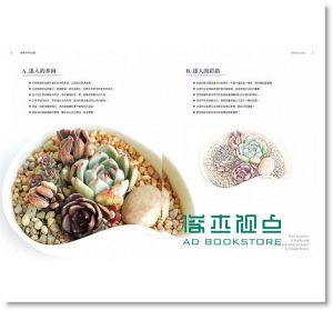 貓咪肉肉彩鉛國：一支筆、一盆多肉、一隻貓？！