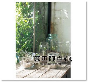 雜貨風綠植家飾：空氣鳳梨栽培圖鑑118 [噴泉][鹿島善晴]