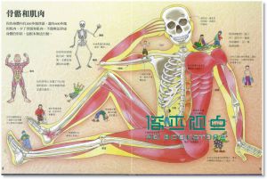 凱蒂．戴尼斯《小翻頁大發現: 我的身體奧祕大發現》水滴