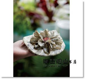 張靖宜《完全圖解．蝶古巴特達人學：你一定學得會的48個實作技法》雅書堂