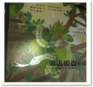 光影魔術熱帶雨林的祕密 [維京][凱倫．布朗]